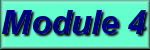 Module 4 Button