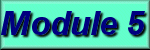 Module 5 Button