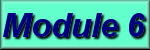 Module 6 Button