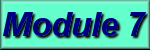 Module 7 Button