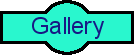 Photo Gallery